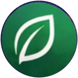 Icon regenerativ: Blatt